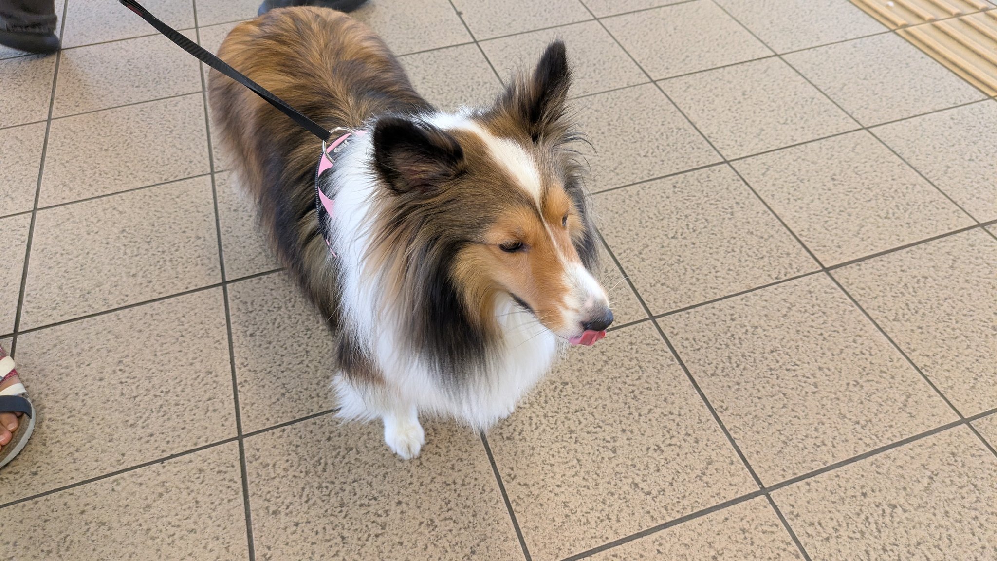 見送りに来てくれたエル社長