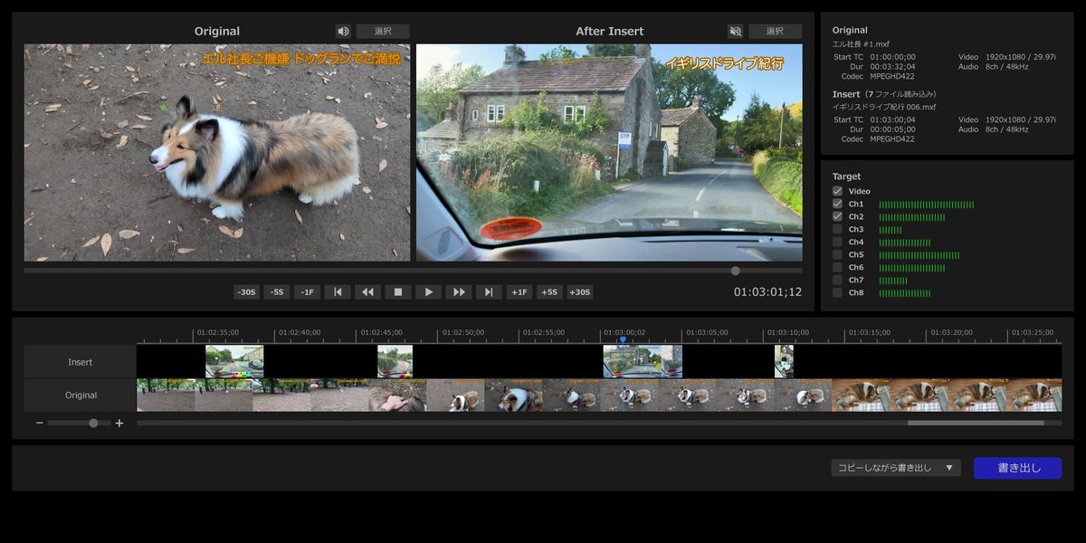 AS MXF Video Inserter の画面