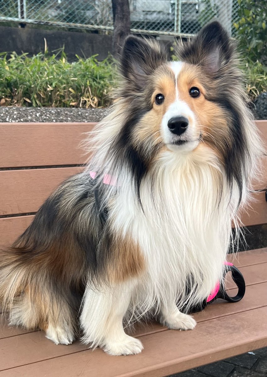 すっかり立ち直ったエル社長