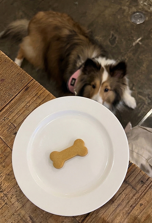 骨型クッキーの動向が気になるエル社長