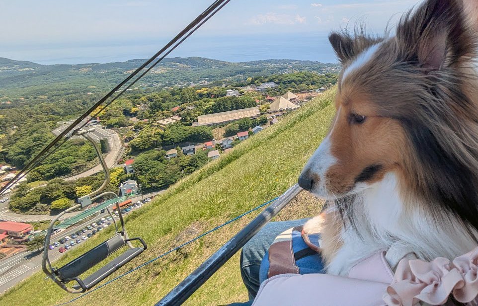 広い視点で未来を見つめつつ、旅先の楽しみも見逃さないエル社長